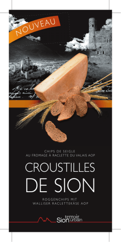Flyer Croustilles au fromage 105x210 FR-ALL