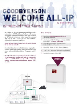 elmeg hybird Media-Gateway - Bintec