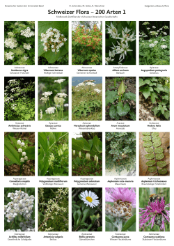 Schweizer Flora – 200 Arten 1 - Botanischer Garten der Universität