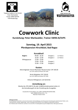 Cowwork Clinic - Rheintaler Westernreiter