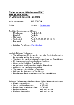 Flurbereinigungsverfahren Mittelhausen (A38)