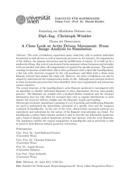Dipl.-Ing. Christoph Winkler A Close Look at Actin Driven Movement