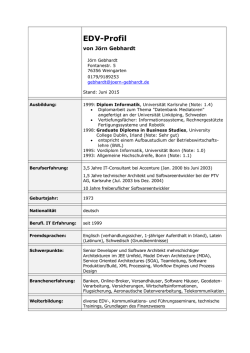 EDV-Profil im PDF Format