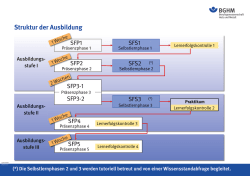 Struktur der Sifa-Ausbildung - Seminare, Selbstlernphasen und