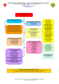 Graphische Darstellung der Organisation des Schulsprengel Latsch