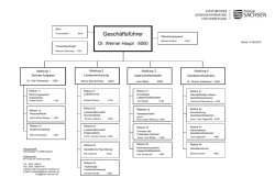 Organigramm GeoSN
