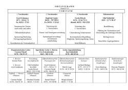 Organisationsplan des VfR