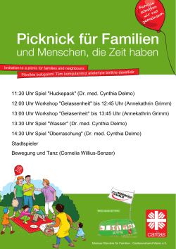 Picknick für Familien - Mainzer Bündnis für Familie