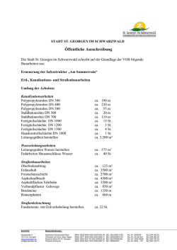 Öffentliche Ausschreibung