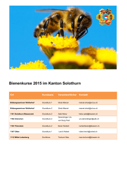 Bienenkurse 2015