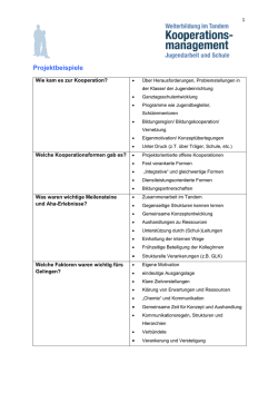 Projektbeispiele Kooperationsmanger