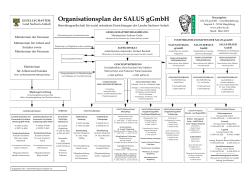 Organisationsplan der SALUS gGmbH