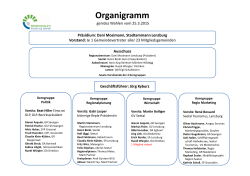 Organigramm  - Lebensraum Lenzburg