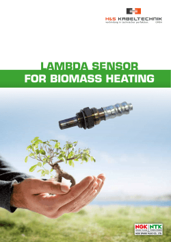 lambda sensor for biomass heating