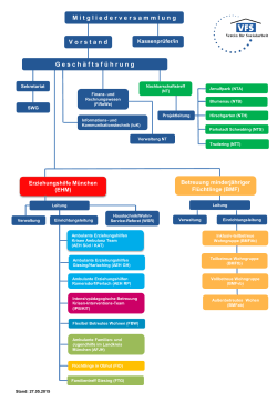 VFS Organigramm