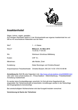 Insektenhotel - Schule Bubikon