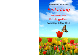 Frühlingsfest 2015 Flyer
