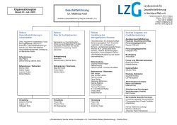 Organisationsplan 2007