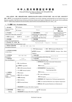 Form V.2013 - mein