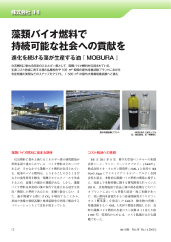藻類バイオ燃料で持続可能な社会への貢献を進化を続ける藻が