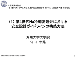 第4世代Na冷却高速炉における安全設計ガイドライン