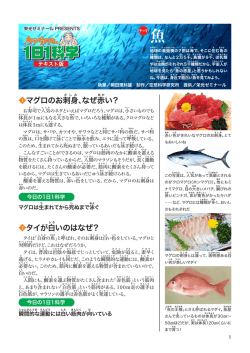マグロのお刺さ し み 身、なぜ赤 い？ タイが白しろ いの
