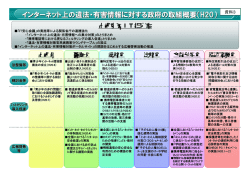 H20 - 内閣官房 インターネット上の違法・有害情報対策
