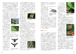 威嚇のテクニック