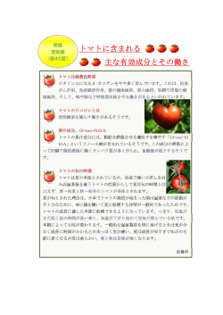 トマトに含まれる 主な有効成分とその働き