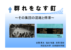 ～その集団の混雑と停滞～