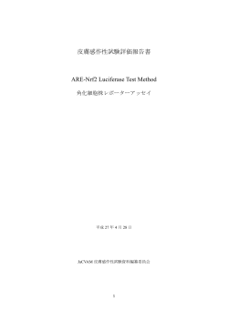 「評価報告書」 PDF