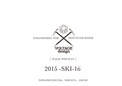 2015 -SKI-16 - VOLTAGE design