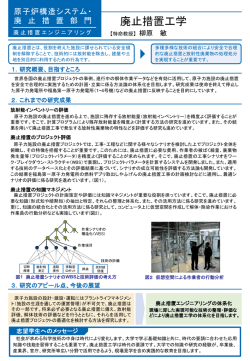 柳原 - 附属国際原子力工学研究所