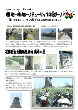 ～車 いすでもチューリップ畑 を見る ことができるのか？！～