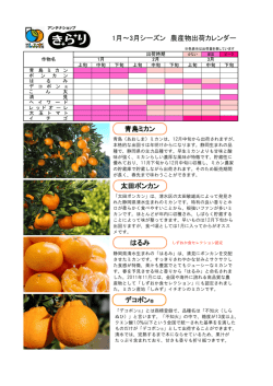 1月～3月の農産物