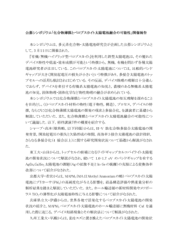 公募シンポジウム「化合物薄膜とペロブスカイト太陽電池融合の可能性