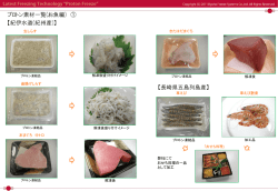 凍結サンプル おせち 寿司 肉魚 デザート