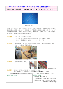 モンスターハンター月下雷鳴 等 エンターライズ用 通信線