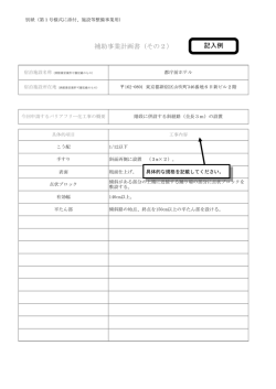 補助事業計画書（その2） 記入例