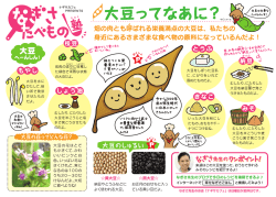 大豆を水に ひたして、暗 い所で発芽 させたもの だよ。