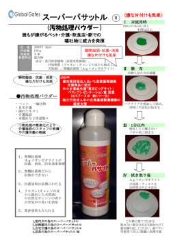 GMパサットル実証資料 pdf（382KB）