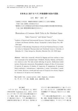 Illustrations of Common Adult Ticks in the Mainland Japan 日本本土