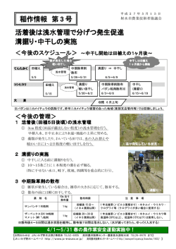 活着後は浅水管理で分げつ発生促進 溝掘り・中干しの