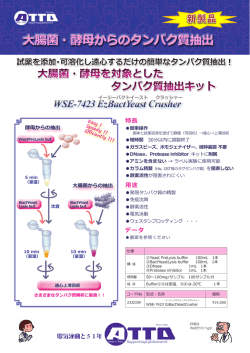 大腸菌・酵母からのタンパク質抽出