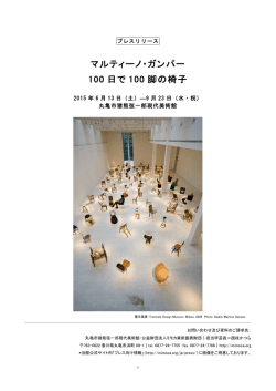 マルティーノ・ガンパー 100 日で 100 脚の椅子