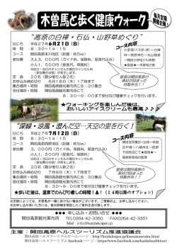 パンフレット（PDF）