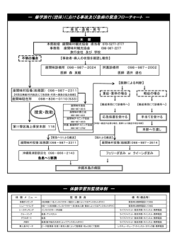 ー 修学旅行（団体）における事故及び急病の緊急