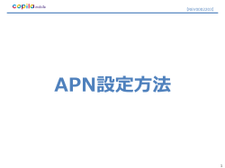 APN設定方法 - CopilaMobile
