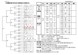 中畑清旗争奪 第7回MRT宮崎地区少年野球大会