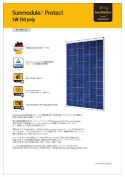 SW 250 poly - SolarWorld AG